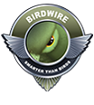 Birdwire